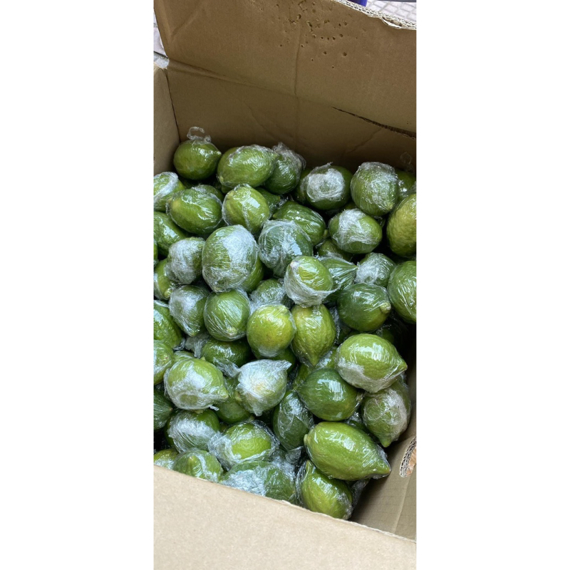 LẺ 1Kg chanh quảng đông chanh nước hoa ship hoả tốc sẵn SG