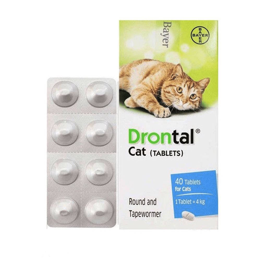 1 Viên Tẩy Giun Cho Chó Mèo Drontal DATE 11.2027 Xổ Giun Sán Diệt Giun Tròn Trên Chó Mèo