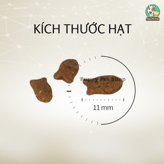 Thức Ăn Hạt CATEYE PREMIUM