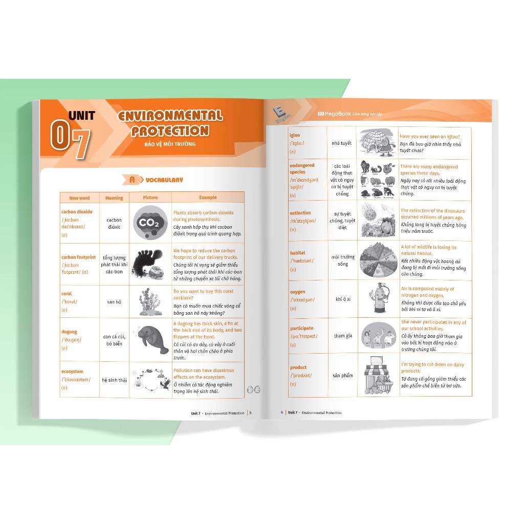 Sách Luyện chuyên sâu ngữ pháp và bài tập tiếng anh Lớp 8 tập 2