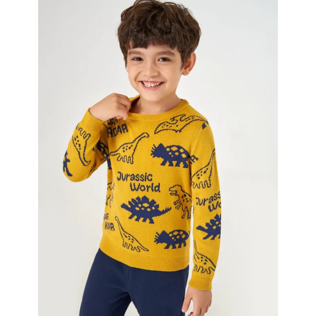 Áo len họa tiết hình bé trai