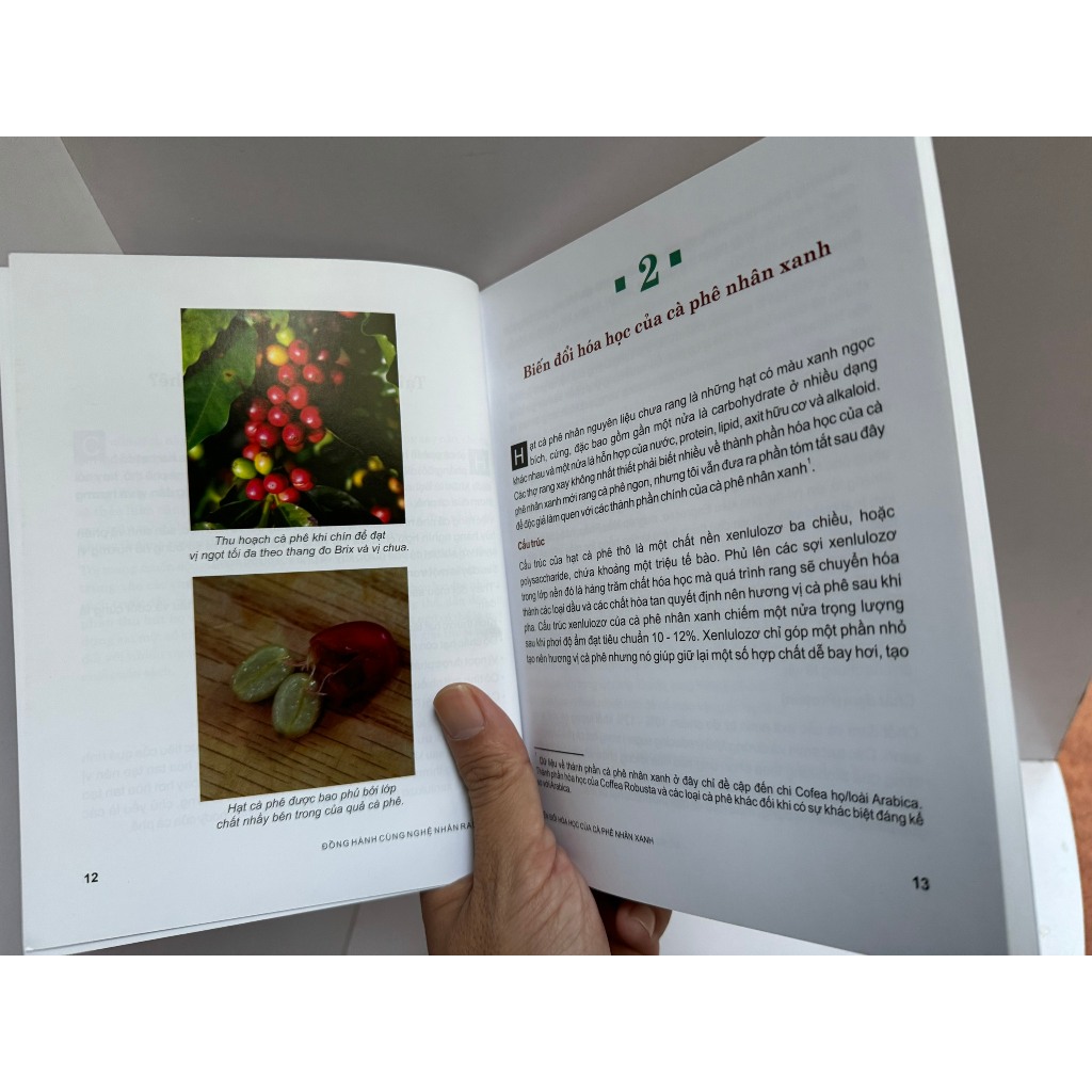 Sách - Đồng hành cùng nghệ nhân rang cà phê - Scott Rao - Hòa Nguyễn Green Bean dịch - Nxb Dân Trí