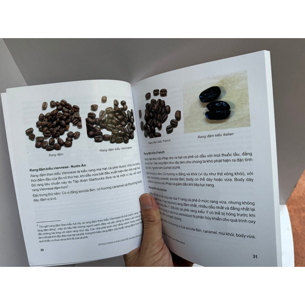 Sách - Đồng hành cùng nghệ nhân rang cà phê - Scott Rao - Hòa Nguyễn Green Bean dịch - Nxb Dân Trí