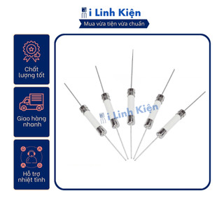 Cầu chì bếp từ 10A/15A/20A 5x20mm chân hàn mạch thủy tinh, sứ Ilinhkien