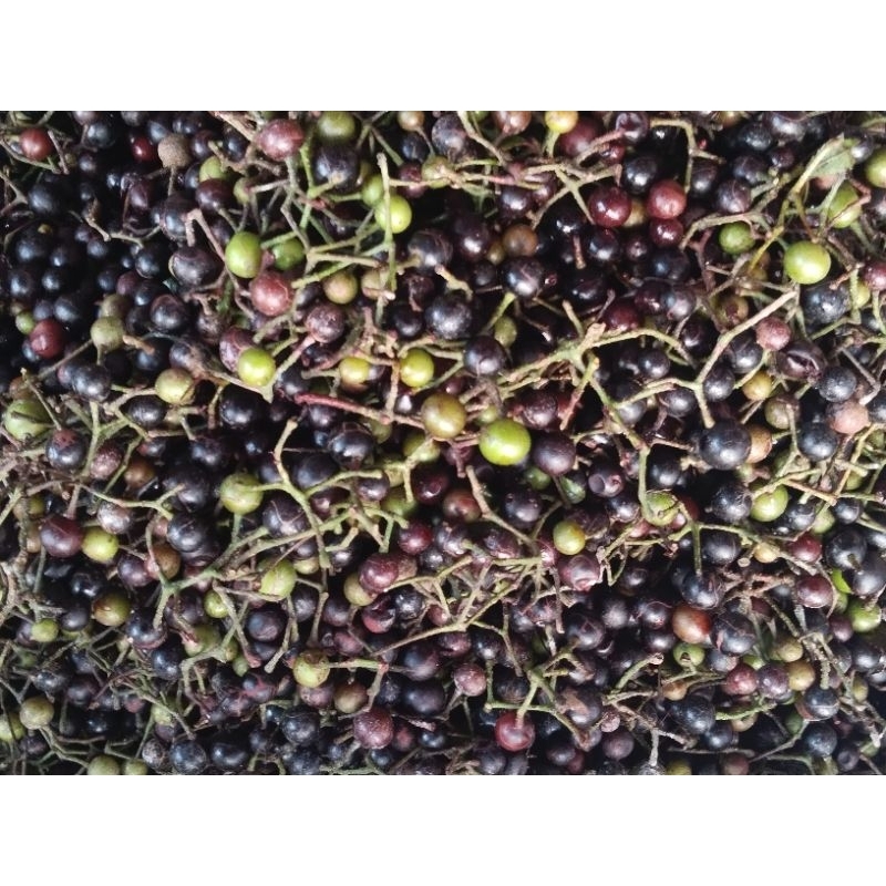 1 bình hơn 5kg nho rừng ngâm sẵn