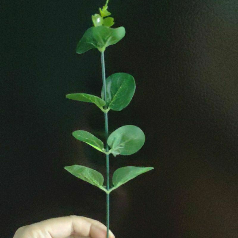 Lá Táo, Cành Hoa Baby, Cỏ Điểm Trang Trí