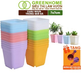 Bộ 10 Chậu Nhựa Trồng Sen Đá Greenhome, 7x7cm, Bền, Đẹp, Màu Sắc Hiện Đại, Ngẫu Nhiên, Không Dĩa