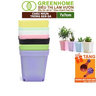 Bộ 5 Chậu Nhựa Trồng Sen Đá Greenhome, 7x7cm, Bền, Đẹp, Màu Sắc Hiện Đại, Ngẫu Nhiên, Không Dĩa