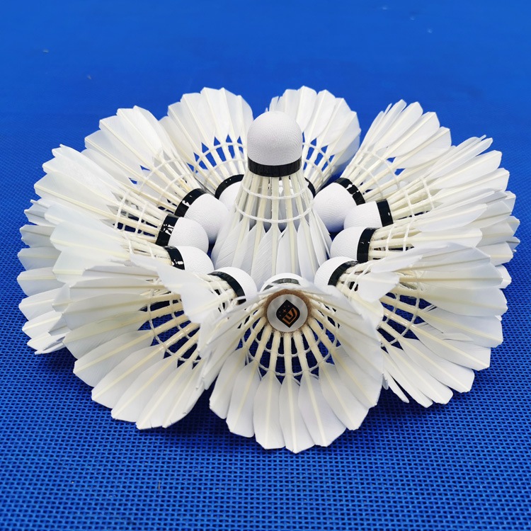 Quả cầu lông giá siêu rẻ tiêu chuẩn thi đấu phù hợp cho học sinh sinh viên