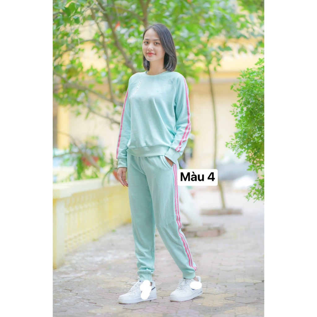 Bộ đồ nữ dài tay Falumar vải da cá mềm nhẹ ấm phối sọc khỏe khoắn chất co giãn nhẹ thoải mái dễ chịu Mai xuất dư