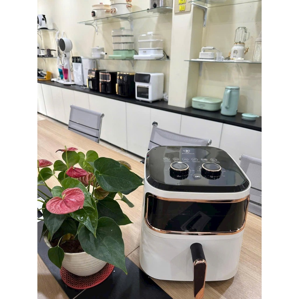 Nồi chiên không dầu dung tích 5L và 6Lcamel