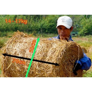 1 cuộn rơm khô Củ Chi (16-20kg)