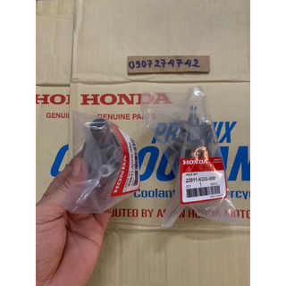 cặp ly bơm nước DyLan thái