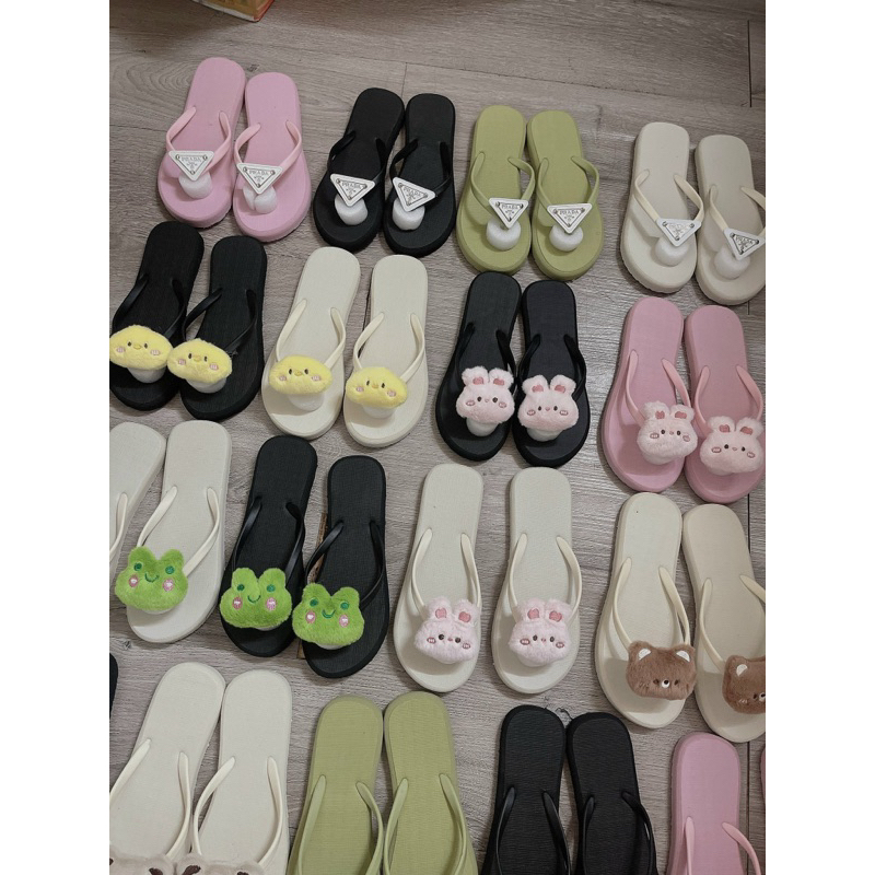 Tông gấu các mã cutte