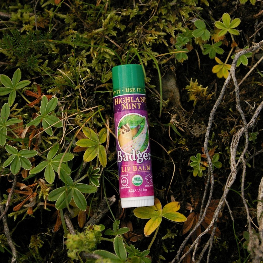 Son Dưỡng Hữu Cơ USDA Organic Làm Dịu Môi Thiên Nhiên Lành Tính Nhập Khẩu Mỹ BADGER Lip Balm An Toàn Mẹ Bầu Em Bé