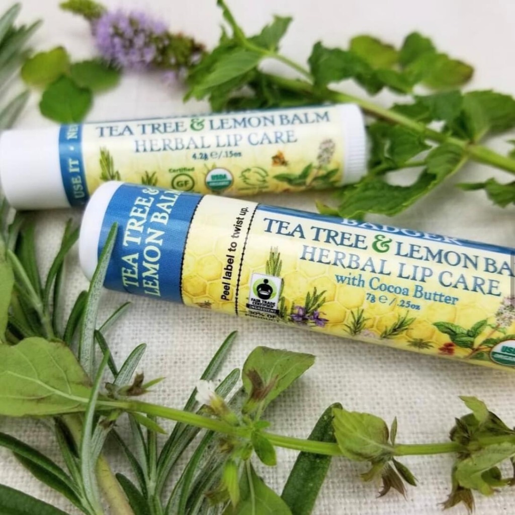 Son Dưỡng Hữu Cơ USDA Organic Làm Dịu Môi Thiên Nhiên Lành Tính Nhập Khẩu Mỹ BADGER Lip Balm An Toàn Mẹ Bầu Em Bé