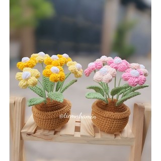 Chậu hoa cúc tana mini bằng len handmade trang trí, làm quà tặng siêu xinh
