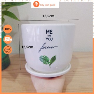 Chậu sứ kèm đĩa lót