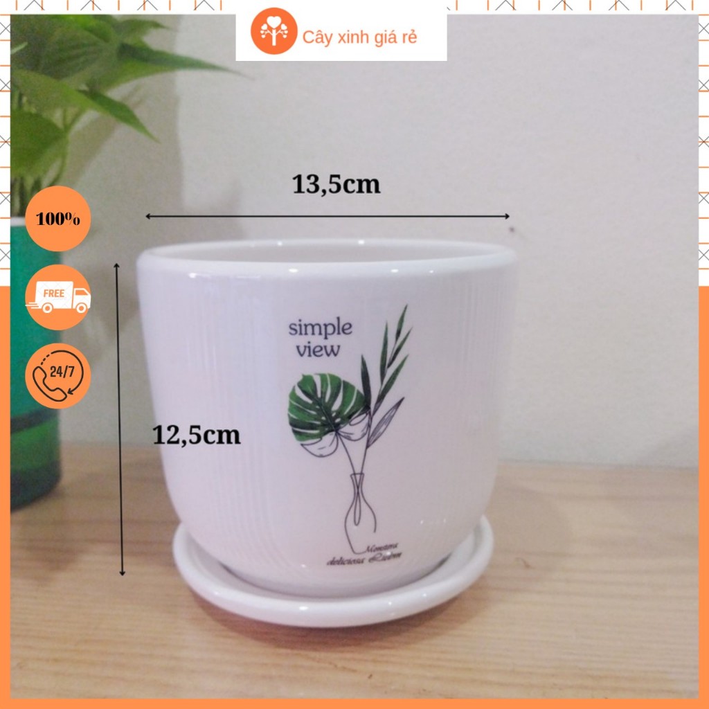 Chậu sứ kèm đĩa lót