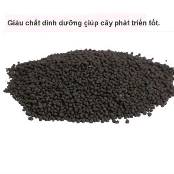 Đất nền thủy sinh cho hồ cá cảnh chỉ 2k