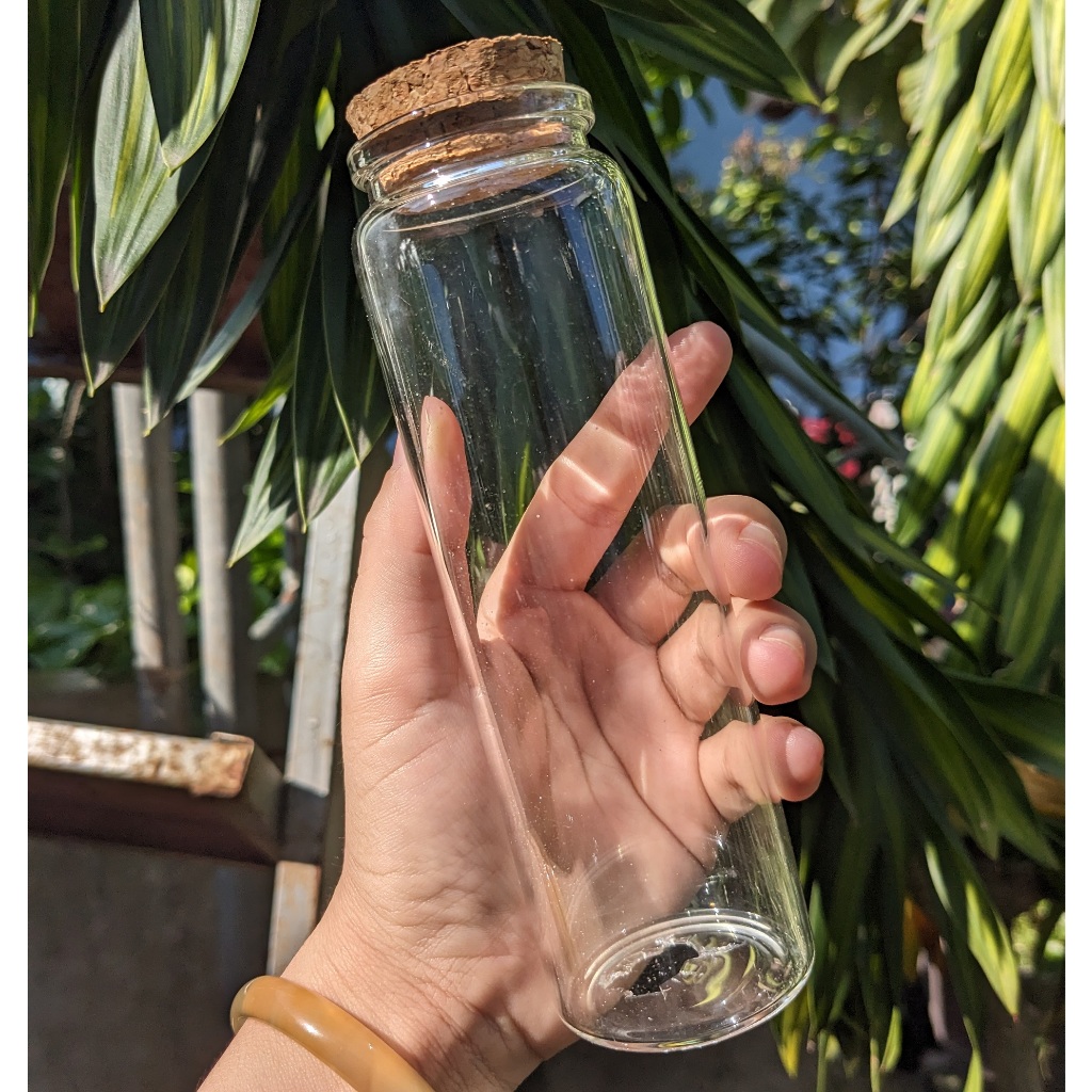 Thanh Lý Lọ Thủy Tinh Nút Bần Trầy Xước nhẹ 4.7x15cm 200ml