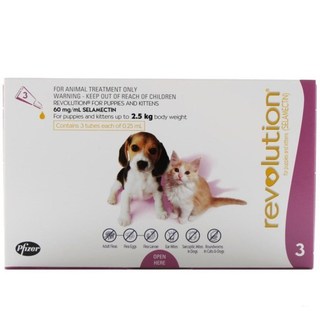 Full Box Revolution for Kittens / Puppies