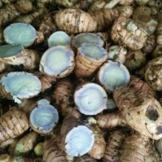 Củ nghệ đen 1kg
