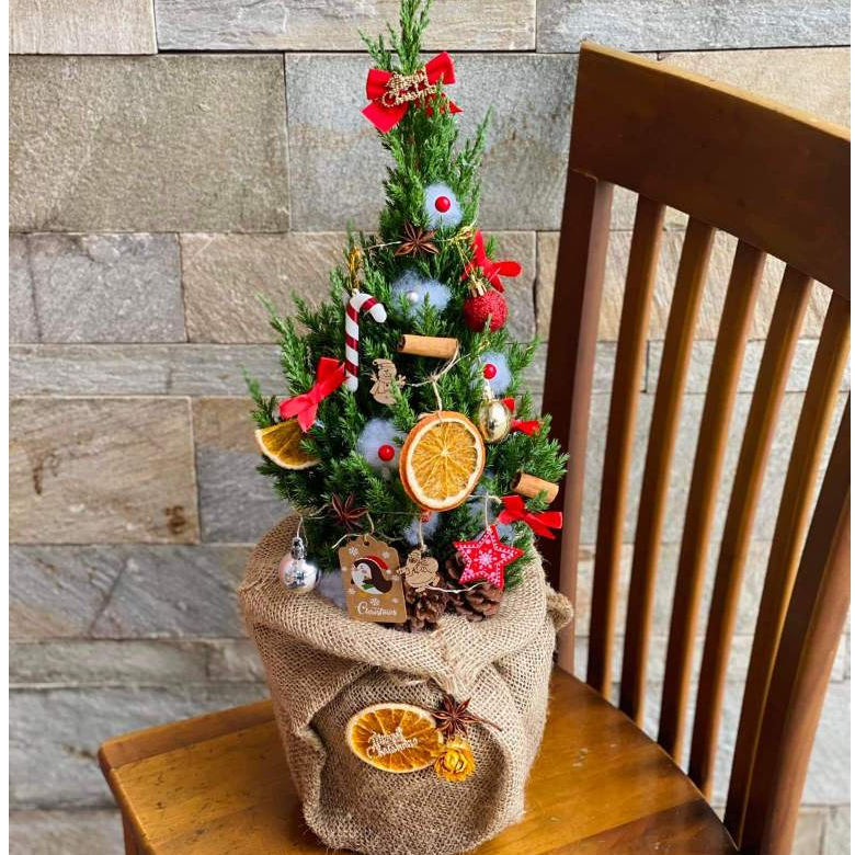 Sơn tùng trang trí Giáng Sinh túi bố