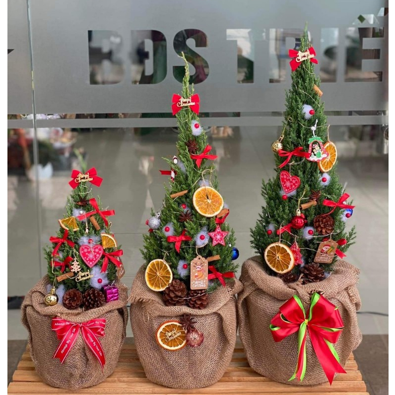 Sơn tùng trang trí Giáng Sinh túi bố