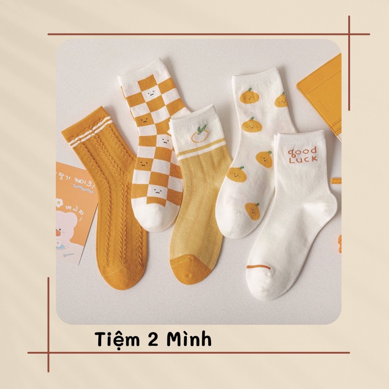 Tất vớ cổ cao in hình quả cam dễ thương