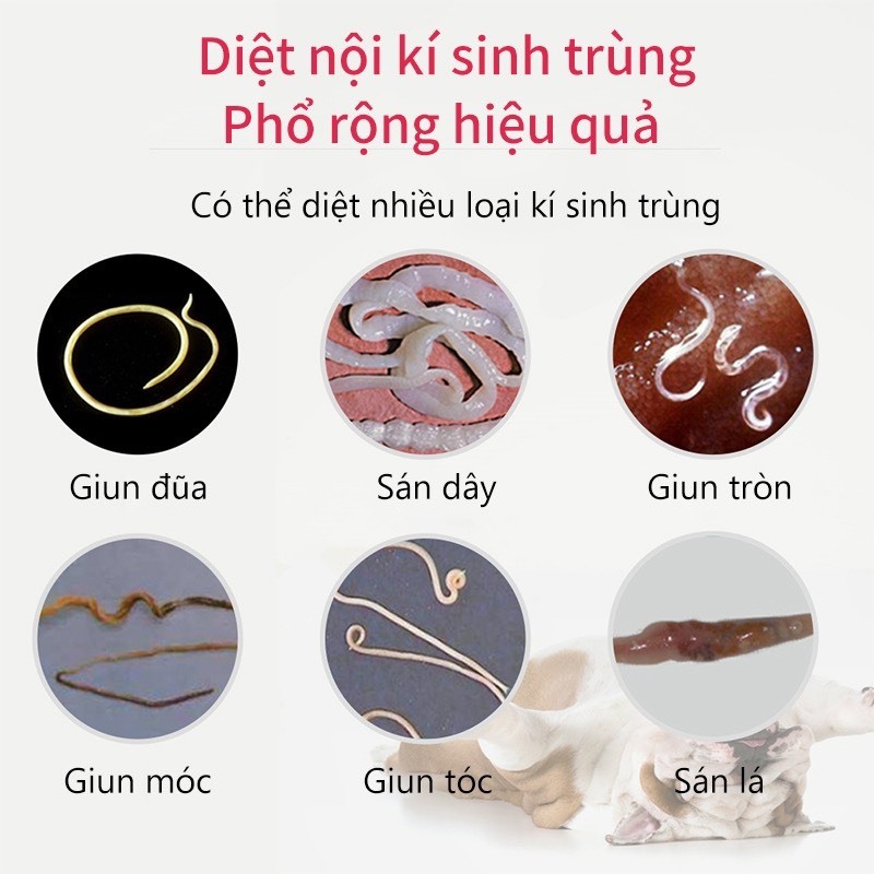 Sản phẩm làm sạch  jun sán chó mèo giúp vật nuôi khoẻ mạnh