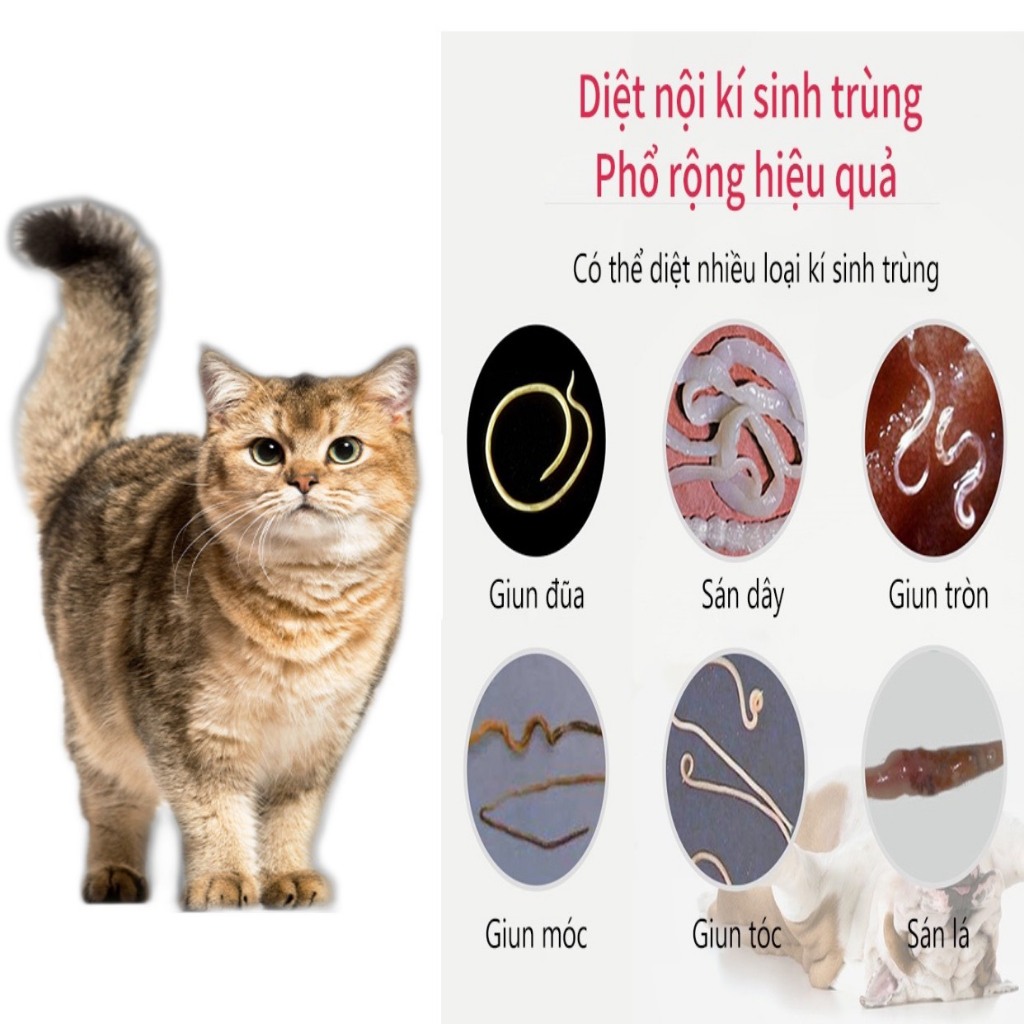 Sản phẩm làm sạch  jun sán chó mèo giúp vật nuôi khoẻ mạnh