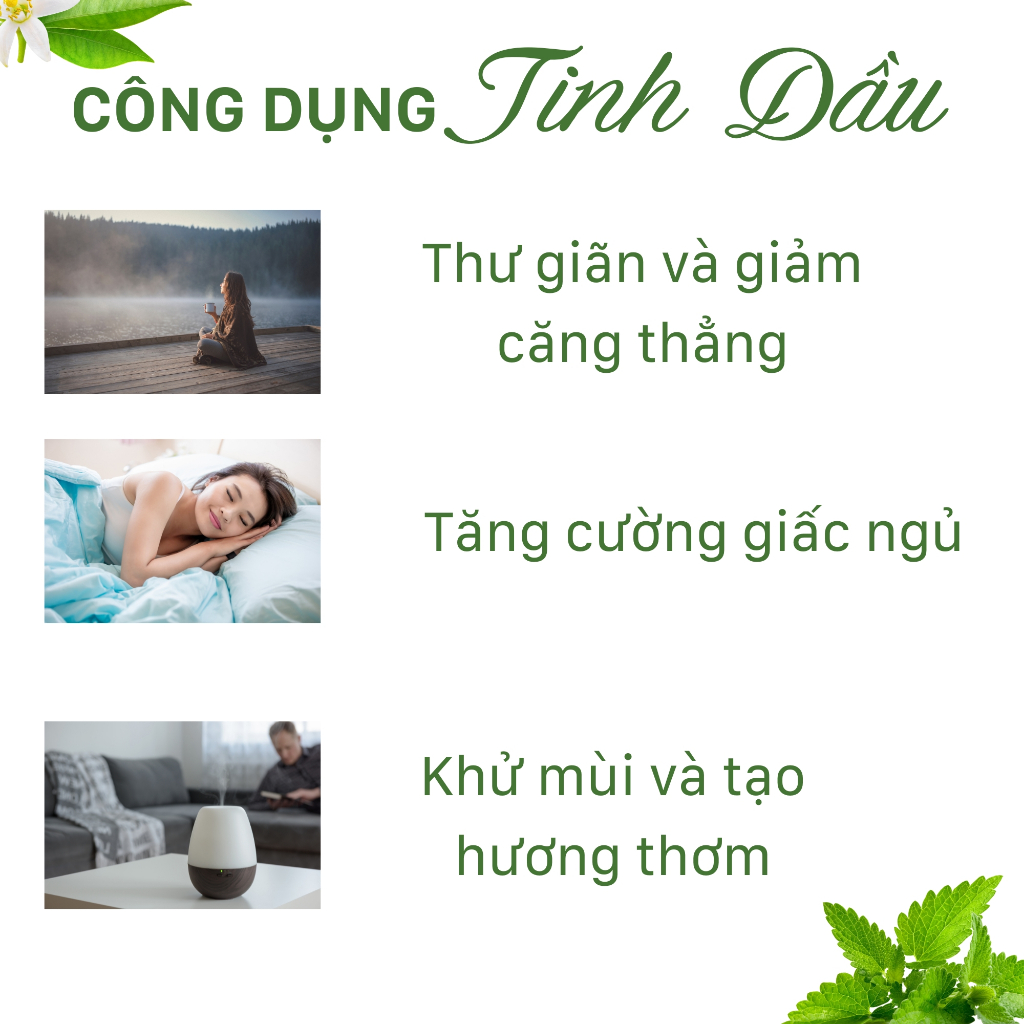 Tinh dầu sả chanh thiên nhiên nguyên chất 100ml xông phòng treo xe khử mùi đuổi muỗi hiệu quả