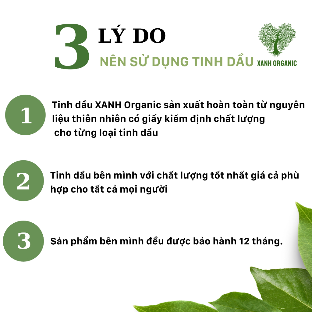 Tinh dầu sả chanh thiên nhiên nguyên chất 100ml xông phòng treo xe khử mùi đuổi muỗi hiệu quả