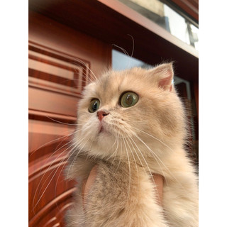 Vòng tay tu nhien thanh lý giá siu rẻ ^^