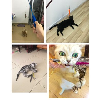Đồ Chơi Cần Câu Cán Dài Cho Mèo