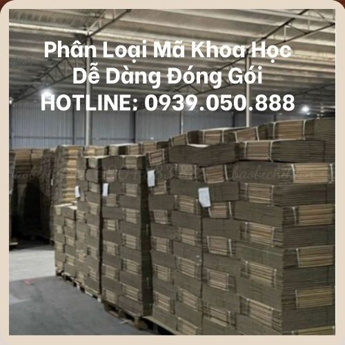 20x10x10 Hộp Carton Đóng Hàng - 01 HỘP