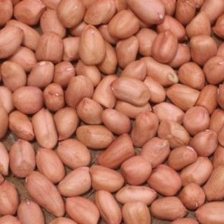 500g Lạc Khô Bóc Vỏ Loại Ngon ( Của nhà trồng được)