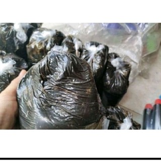 (GIÁ HỦY DIỆT) MỠ BÒ THÁI LAN LON 0,5KG