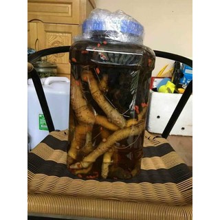 tứn  khửn tươi