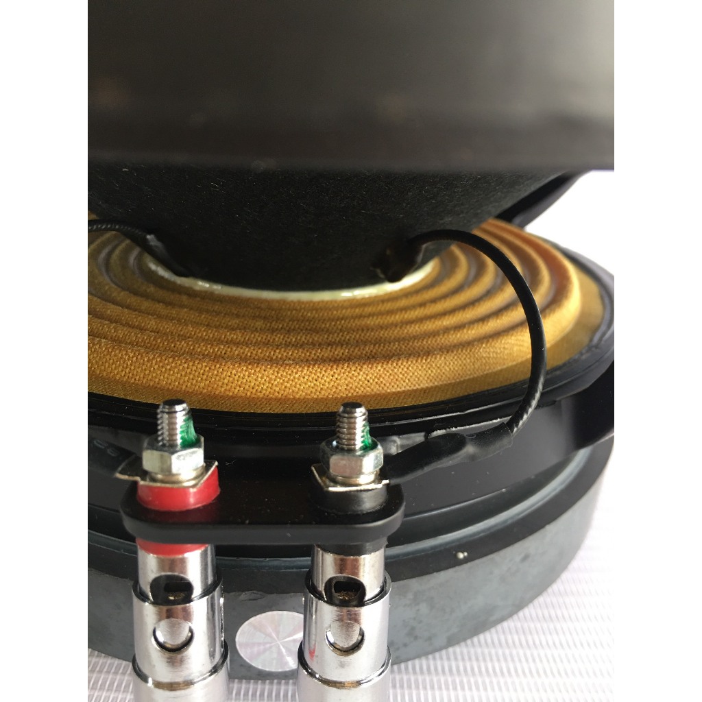 LOA BASS 25 TURBO SONIC XƯƠNG NHÔM - TUỪ 170 COIL 65