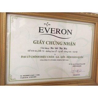 Gối tựa Everon 45*45cm(Vỏ kèm ruột gối)