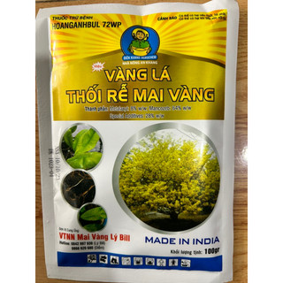 Vàng lá thối rễ mai vàng 100g