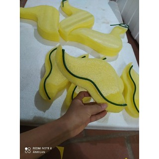 1 cặp cánh phượng