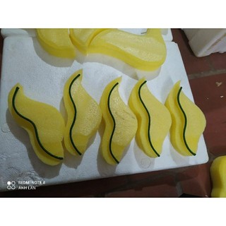 1 cặp cánh phượng