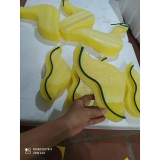 1 cặp cánh phượng
