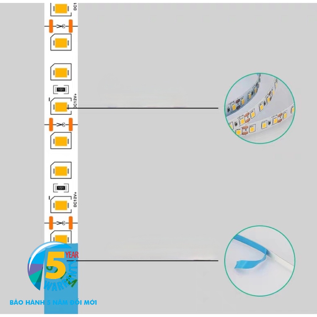 DÂY LED DÁN 12V - 120 /180/240/ 5M , CHỈ SỐ CHỐNG NƯỚC IP20 ÁNH SÁNG TRẮNG -TRUNG TÍNH-VÀNG - XANH -XANH LÁ