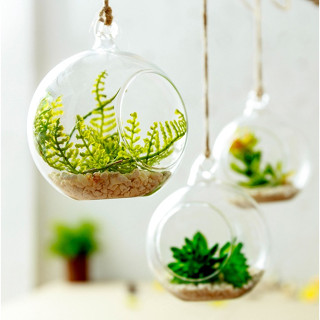 Lọ thủy tinh tròn trang trí vừa để bàn vừa treo được, decor đèn, hoa hoặc trồng sen đá cho các buổi tiệc, đường kính 9cm