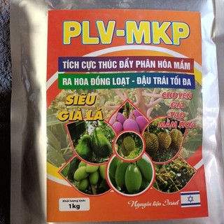 Phân bón lá PLV MKP thúc đẩy phân hóa mầm hoa, ra hoa đồng loạt, thúc già lá, tạo mầm hoa
