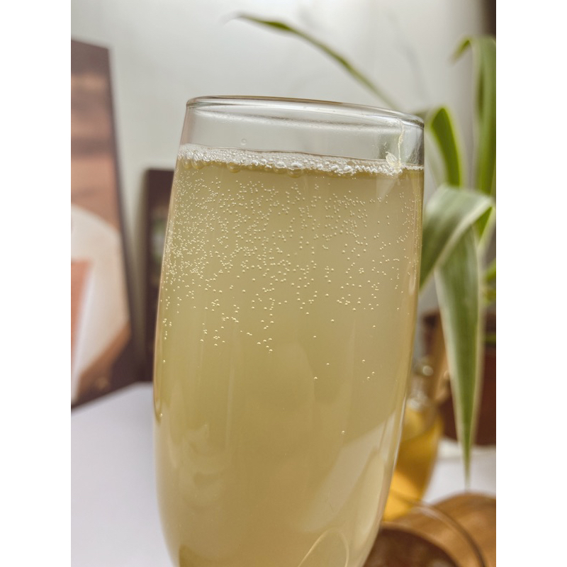 CON GIỐNG JUN KOMBUCHA LÀM TRÀ XANH MẬT ONG LÊN MEN
